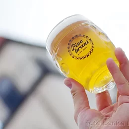 Beerfest - Pivobraní